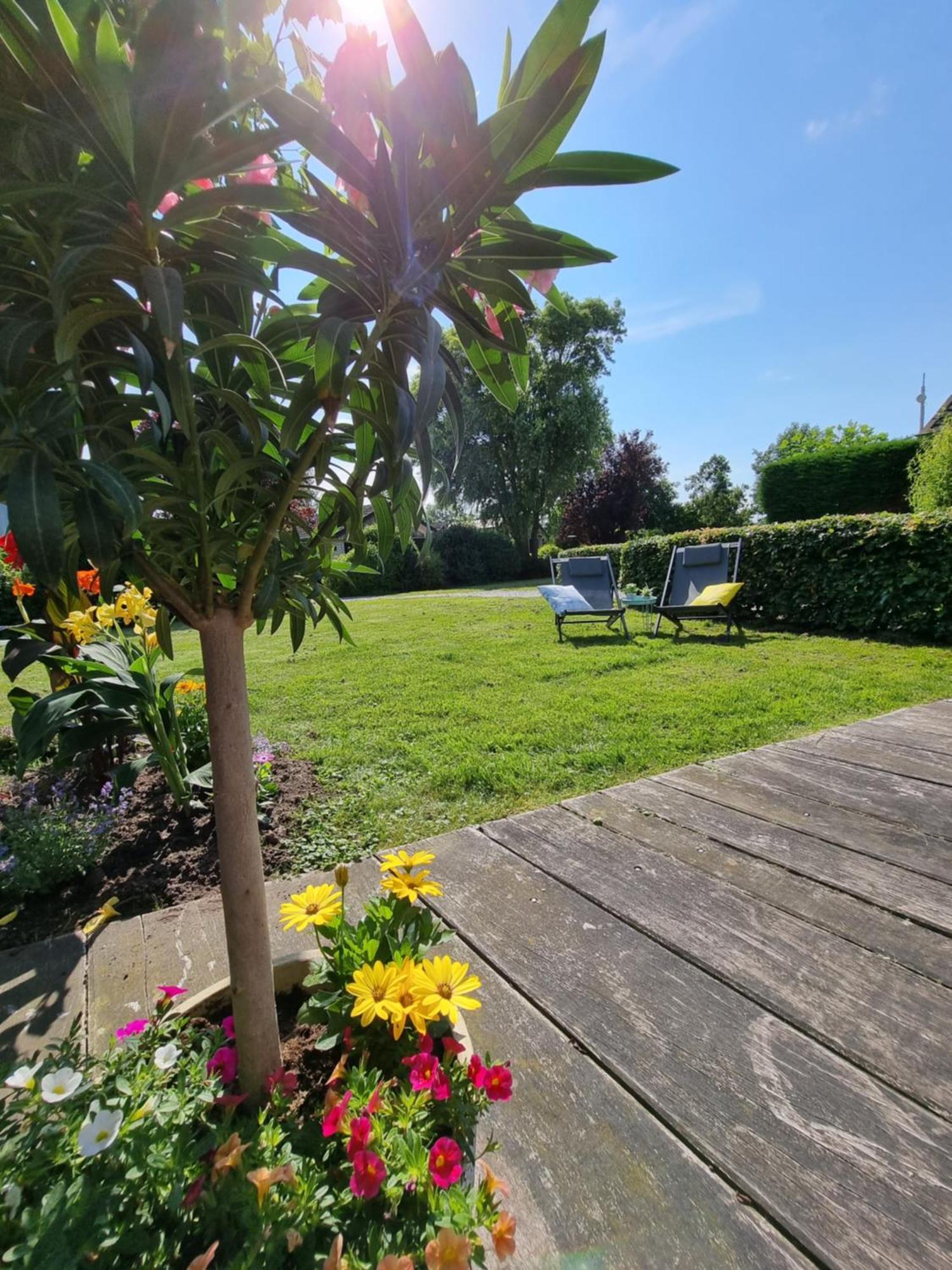 Rietmeer Vakantiehuis Friesland Gaastmeer Dış mekan fotoğraf